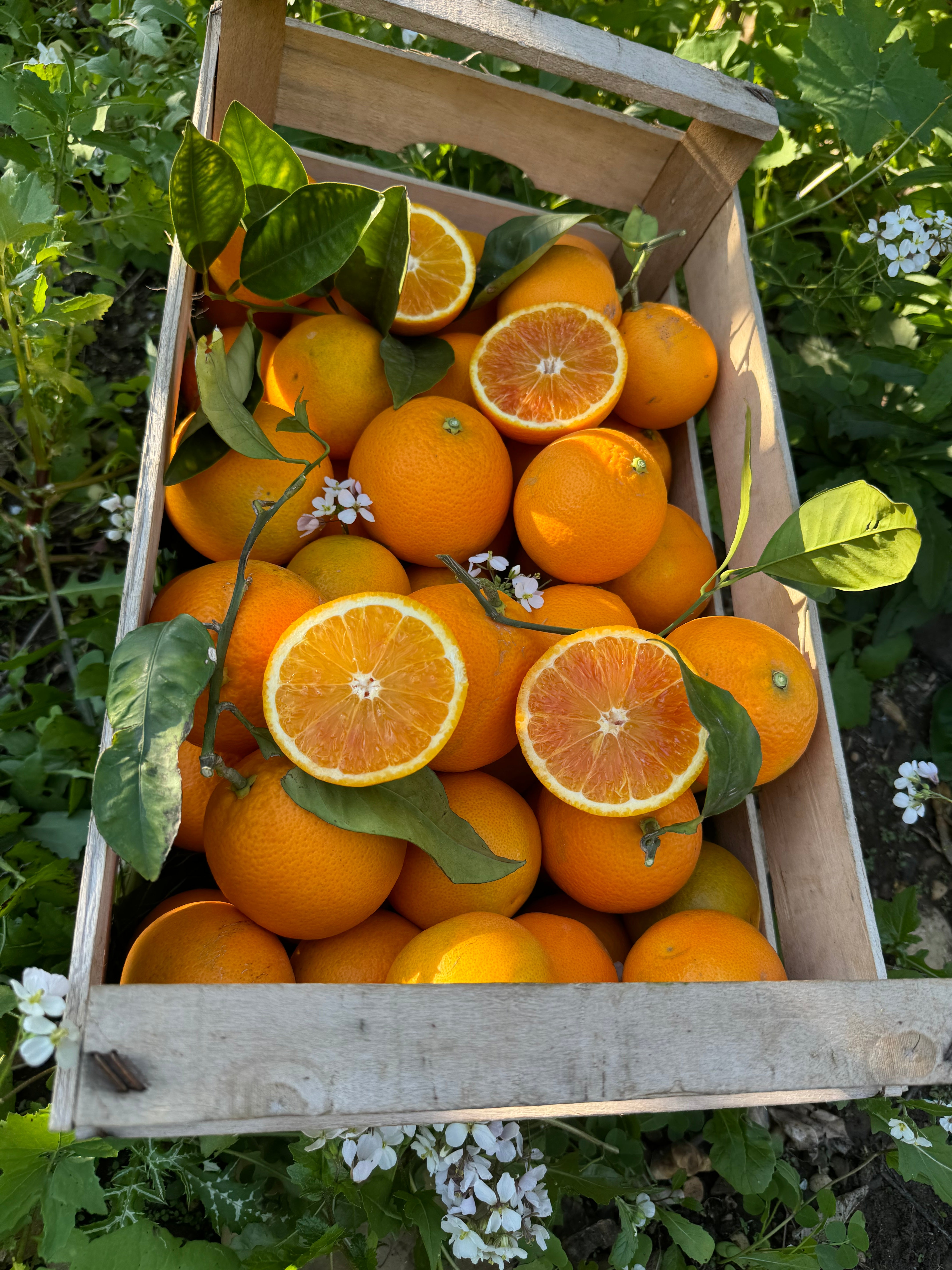 Cassetta Mix 18kg Arance Tarocco - Tavola e Spremuta in Unica Soluzione