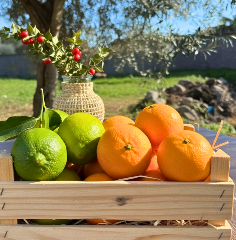 Arance Tarocco 7kg, da tavola + 2kg di Limoni