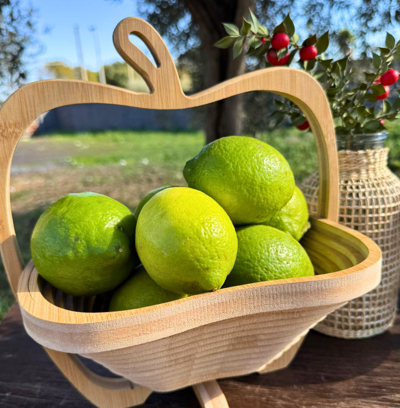 Limoni Primofiore Femminello - 5kg